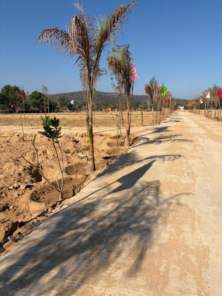 Saraswati Vihar Main